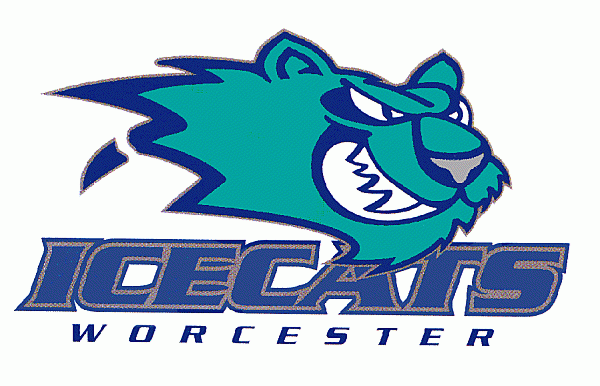 Worcester IceCats 1996 97-2001 02 Primary Logo iron on heat transfer